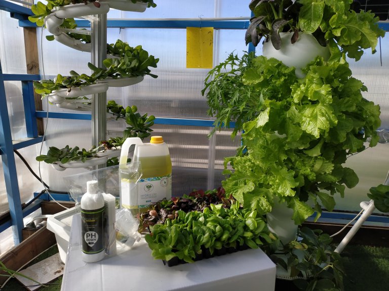 מערכת הידרופונית אירפוניק מגדל מעוצב