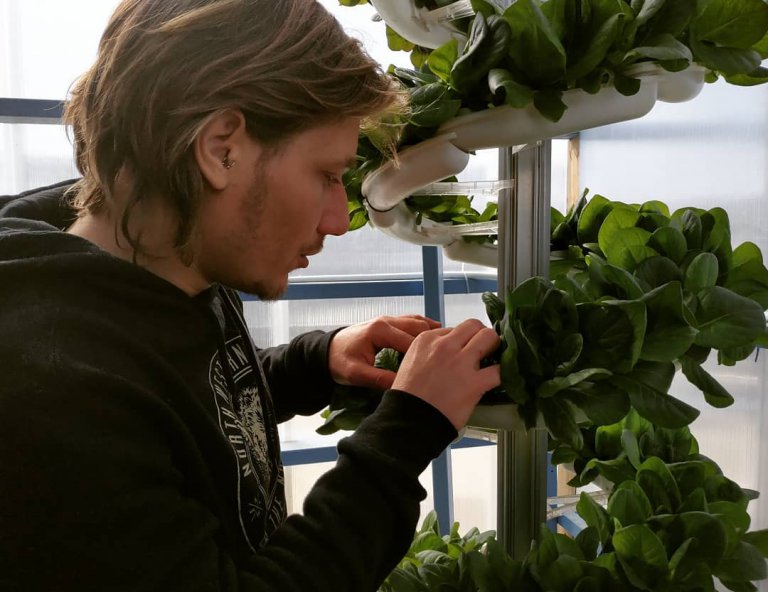 hydro grow - גידול הידרו