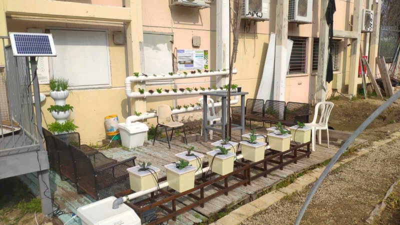 הידרופוניקה בבתי ספר