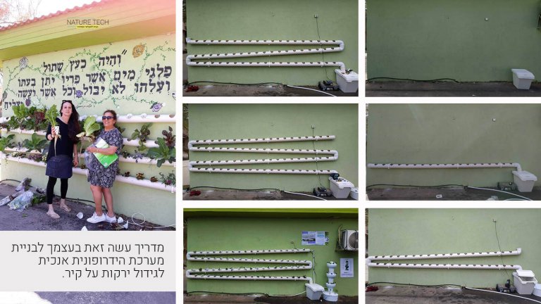 מדריך לבניית מערכת הידרופונית ורטיקלית על קיר לגידול 76 צמחים