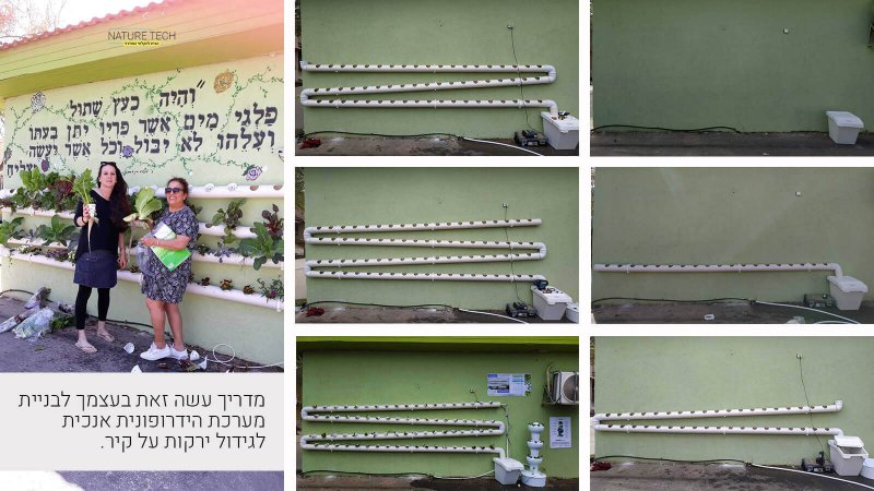 מדריך לבניית מערכת הידרופונית ורטיקלית על קיר לגידול 76 צמחים