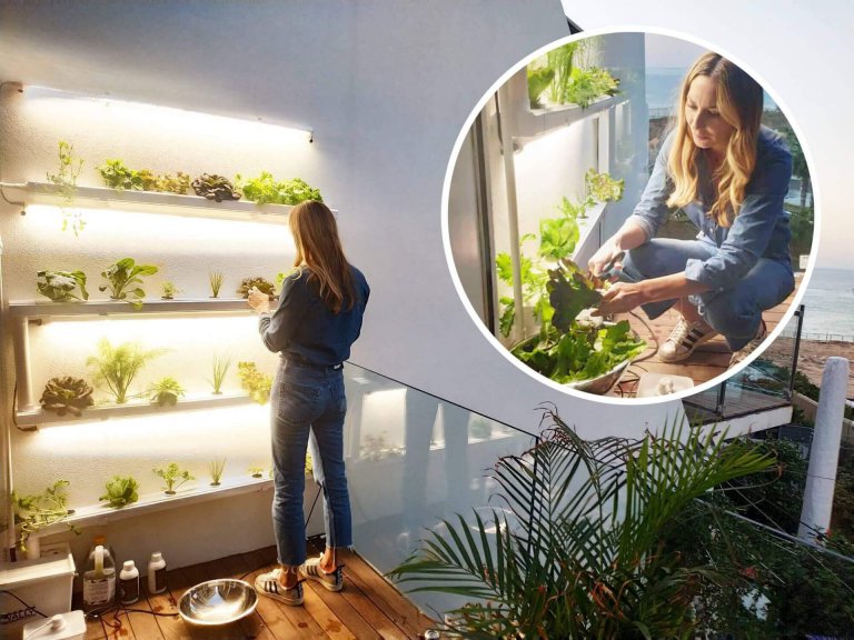 wally24 אצל מיכל אנסקי בבית