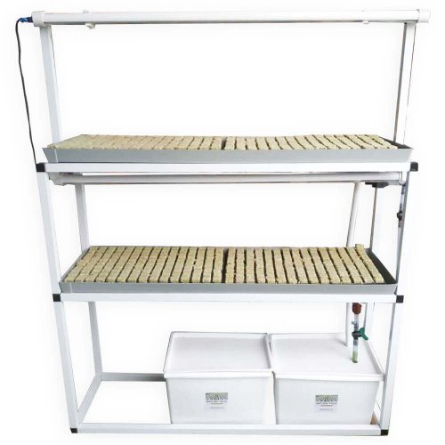 מנבטה הידרופונית