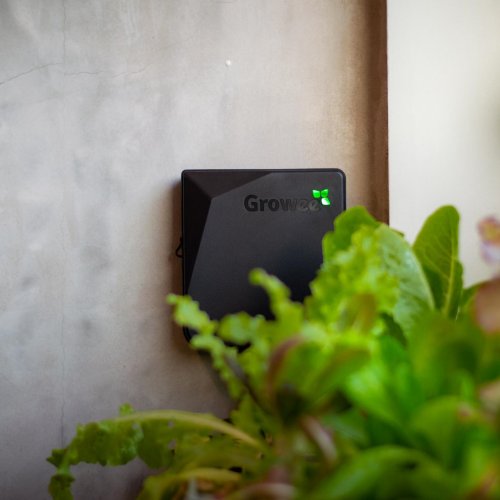 הידרופוניקה אוטומטית GROWEE