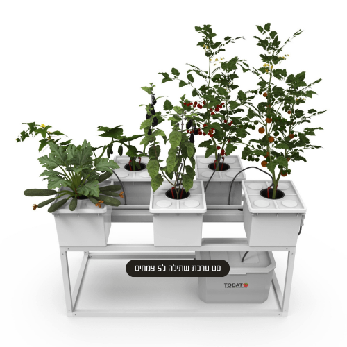 מערכת הידרופונית דליים הולנדים מקורית מבית נייצרטק כל הזכויות שמורות/