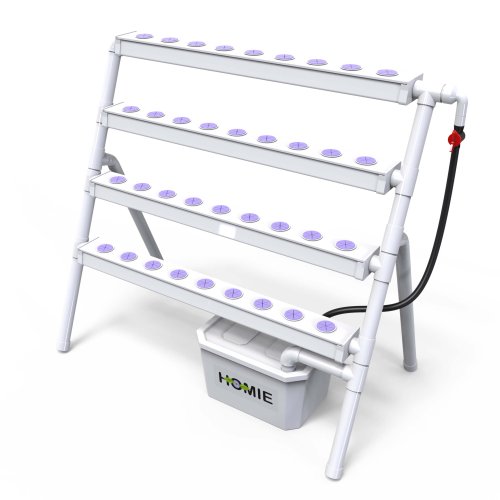 Homie 36 | מערכת הידרופונית ביתית לגידול 36 צמחים בשיטת NFT עם סטנד מובנה