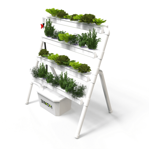 מערכת הידרופונית ביתית