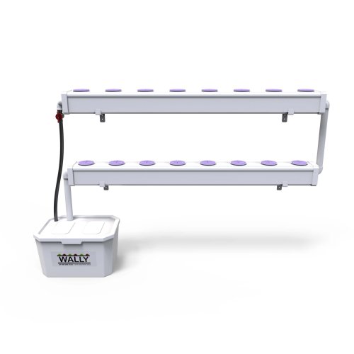 Wally16XL | מערכת הידרופונית NFT קומפלט ל16 צמחים התקנה על קיר