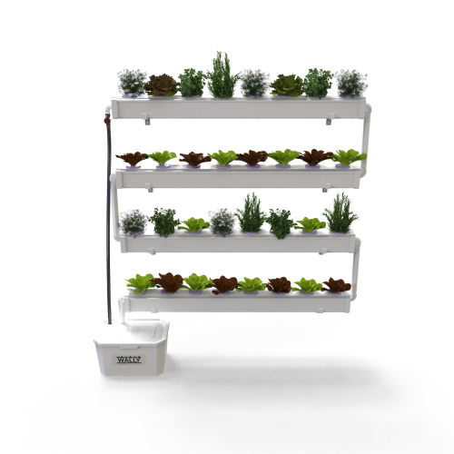 מערכת הידרופונית וולי 32 מבית נייצ'רטק לגידול 32 צמחים