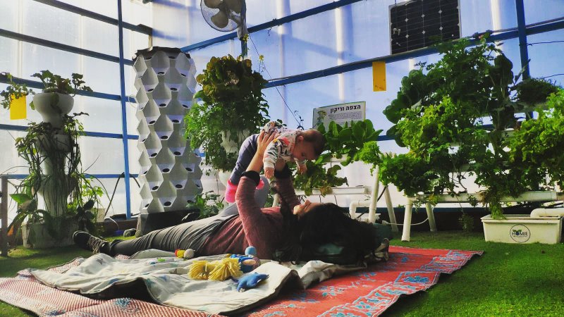 התחלה הידרופונית חדשה