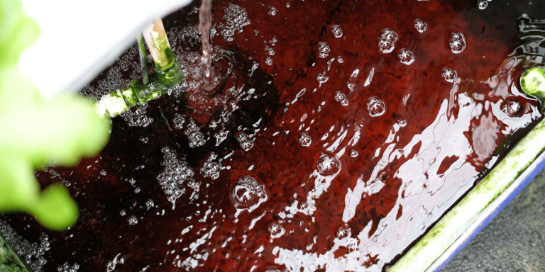 דישון הידרופוני: כל מה שצריך לדעת