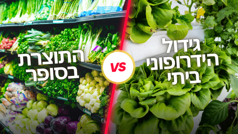 מה יותר בריא:? התוצרת של הסופר או התוצרת שגידלת במערכת ההידרופונית?